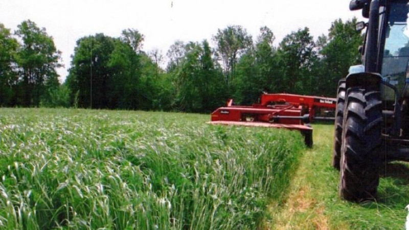 Рабочий план по заготовке травяных кормов в 2023 году
