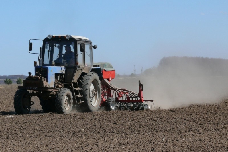 Совмин утвердил меры по подготовке к полевым работам и уборке урожая в 2024 году